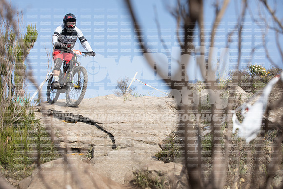 EA2A4667-teselba422
