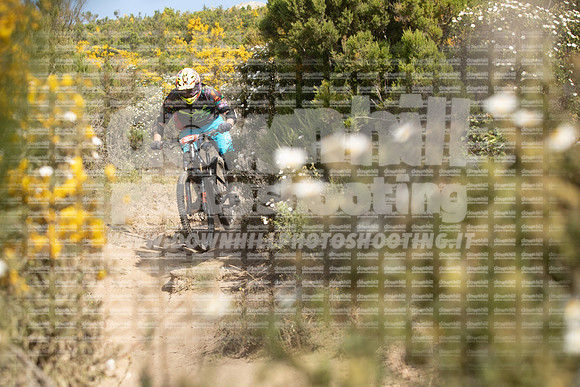 EA2A5281-teselba323