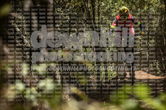 EA2A0499-tescarmignano235