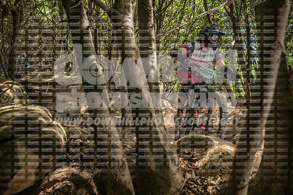 EA2A0431-tescarmignano603