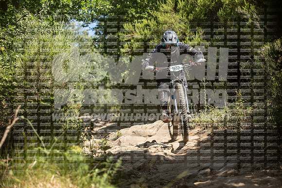 EA2A0124-tescarmignano573