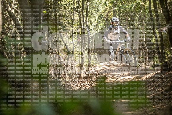 EA2A0226-tescarmignano534