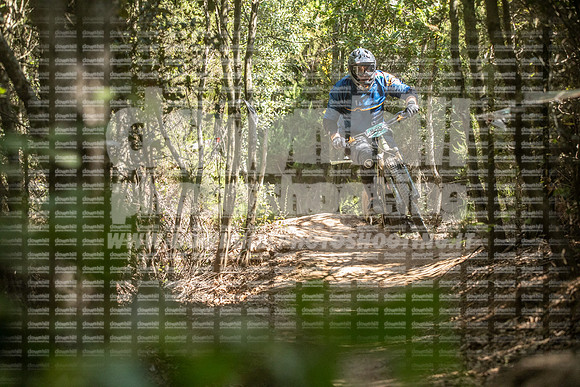 EA2A0180-tescarmignano549