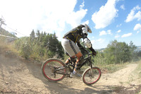 DHP-10-08-2012