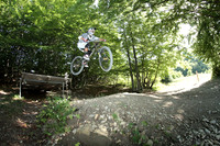 DHP-28-07-2012